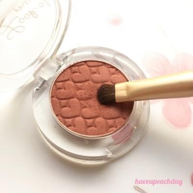 CỌ PHẤN MẮT ETUDE HOUSE MY BEAUTY TOOL BRUSH EYESHADOW POINT