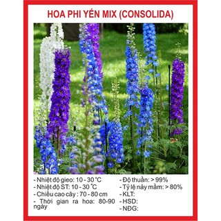 Hạt giống Hoa phi yến Mix – 50Hạt