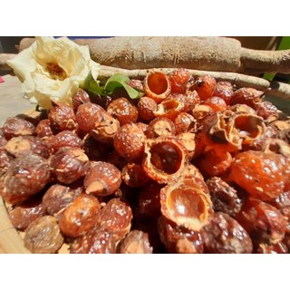 100GR bồ hòn tách hạt .Loại 1