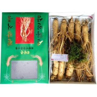 SÂM TƯƠI HÀN QUỐC 10 CỦ 1 KG
