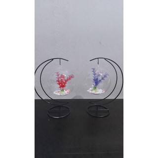 Bể cá mini cung trăng 20 ( tặng kèm phụ kiện trang trí )