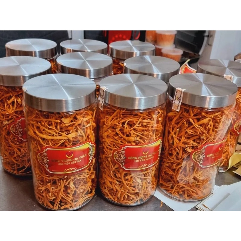 [Lọ 50g] Đông Trùng Hạ Thảo Học Viện Hậu Cần sấy thăng hoa cao cấp