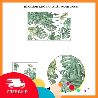 ⚡️𝗙𝗥𝗘𝗘𝗦𝗛𝗜𝗣⚡️ Decal dán tường Lá bách thảo