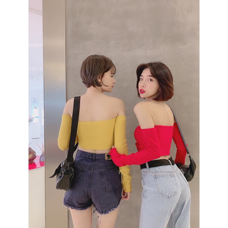 Crop tay dài trễ vai cột ngực