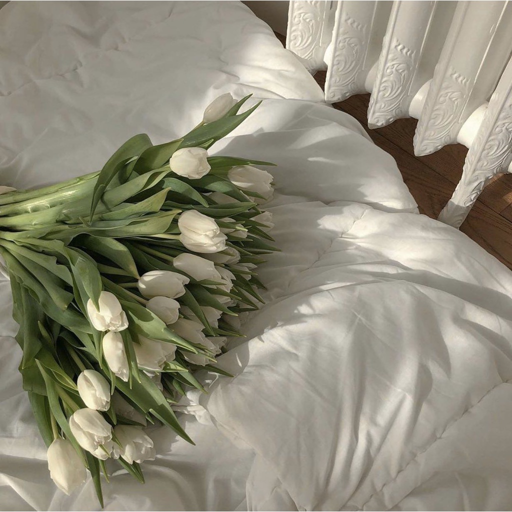 Tulip màu trắng | Ship hỏa tốc| Hoa tươi Gi.farm