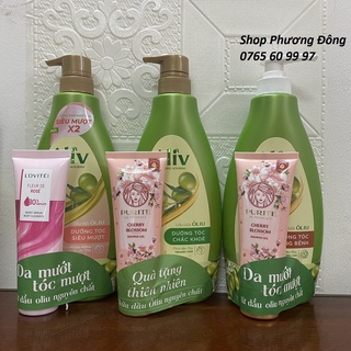 (Kèm hàng tặng 150ml) Dầu gội, dầu xả ôliu Oliv dưỡng tóc chắc khoẻ, bồng bềnh 650ml