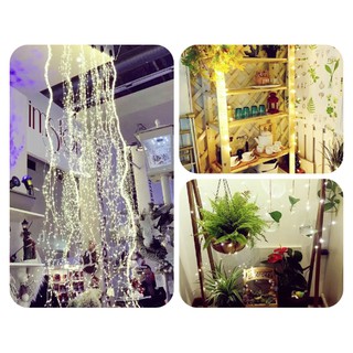 Dây đèn led Fairy Light