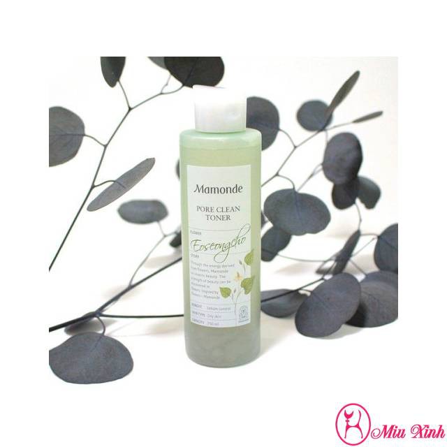 NƯỚC HOA HỒNG [MAMONDE] Pore Clean Toner (New)