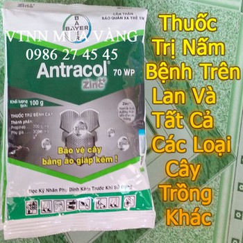 ANTRACOL 70WP 100g Trị Nấm Trên Tất Cả Các Loại Cây Trồng