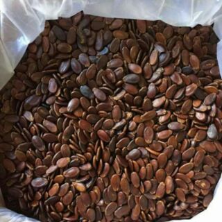 HẠT DƯA LOẠI ĐẶC BIỆT