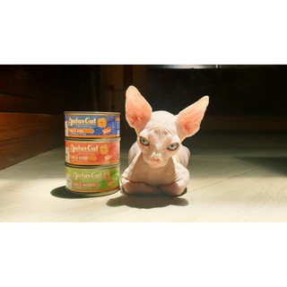 Pate Aatas Cat Cá ngừ