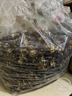 Nấm mèo - mộc nhĩ 100gr