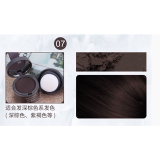 phấn che khuyết điểm tóc (mã CKD07)