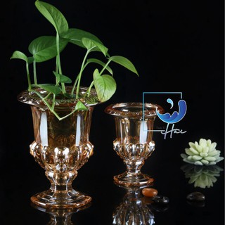 Lọ thủy tinh đựng phật thủ