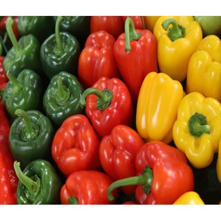 Hạt Giống Ớt Chuông Đỏ Ngọt F1 Dễ Trồng