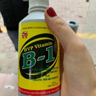 Phân bón lá cao cấp, đậm đặc vitamin b1 hvp chai 250ml