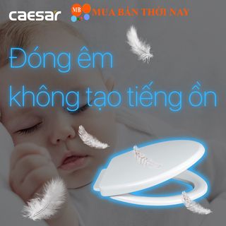 Nắp Bồn Cầu CAESAR MS220 Nắp Rơi Êm, Chính hãng