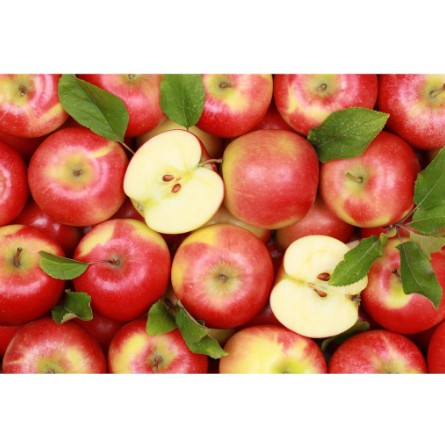 Cây giống táo đỏ, táo tây, cây bôm - Pomme-UtNho