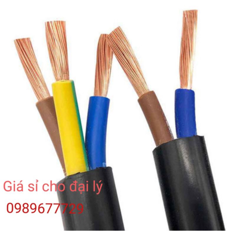 Dây điện 3 lõi tròn đen 3x2,5 & 3x1,5 & 2x2,5 & 2x1,5 & 2x1,0 & 2x0,75 CU/PVC//PVC 300/500V Dongnew