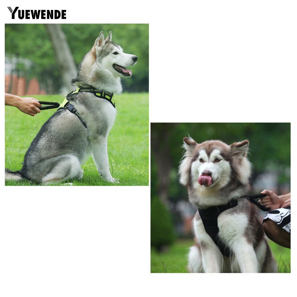 Áo dắt chó đi dạo có thể điều chỉnh thoáng khí phối dây buộc phản quang