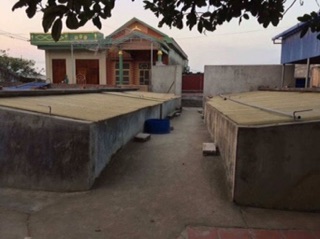 Mắm chắt Cát Hải combo loại 2+3
