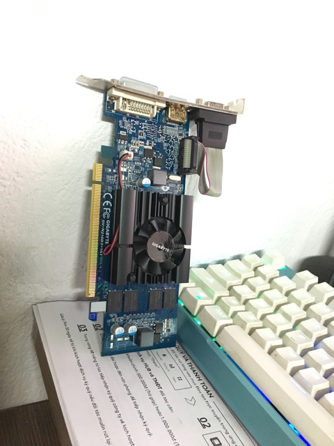 N210-Asus và giga (xuất hình Full HD) | BigBuy360 - bigbuy360.vn