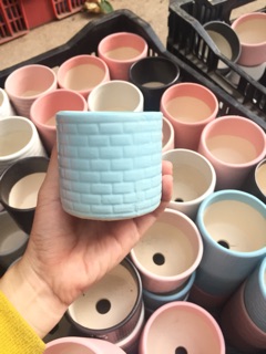 Chậu trồng cây 8cm