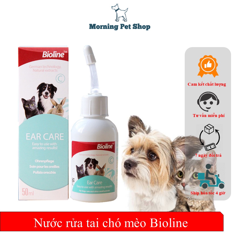 Nước Rửa Vệ sinh Tai Cho Chó Mèo Ear Care Bioline 50ml  Morning Pet Shop - Hỗ trợ trị viêm tai cho thú cưng