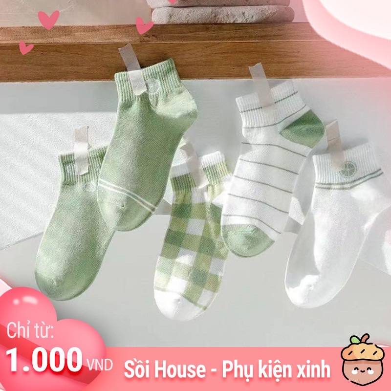 Tổng Hợp Các Mẫu Tất Dễ Thương Cute Bò Sữa,Bơ,Pastel,… Hàn Quốc Sồi House