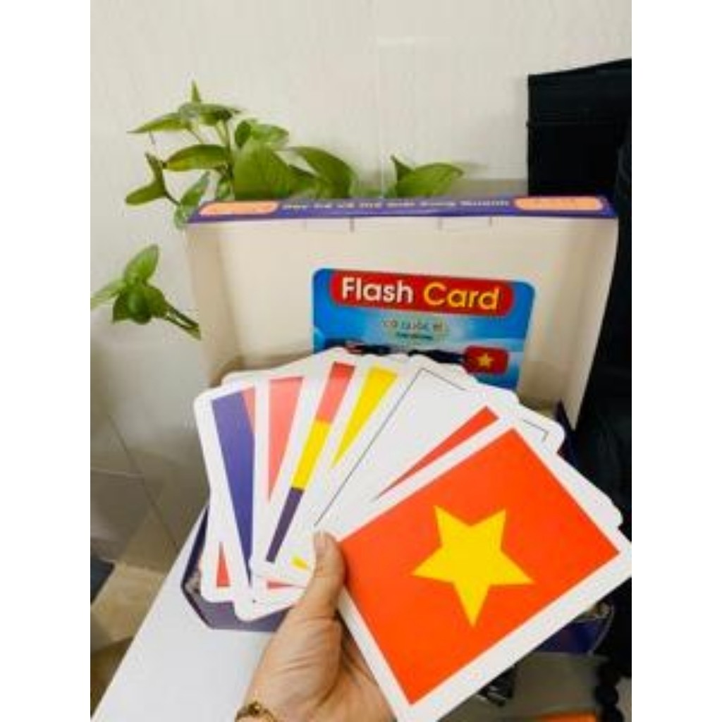 Bộ Thẻ Học Thông Minh 15 Chủ Đề Loại To Song Ngữ Chuẩn Glenn Doman Flashcards Cho Bé Từ 0-6 Tuổi