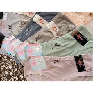 Set 5 quần lót cotton big size 65 - 79kg