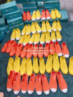 Giày Native Vàng full