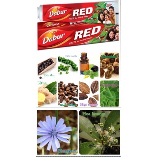 Kem đánh răng Dabur