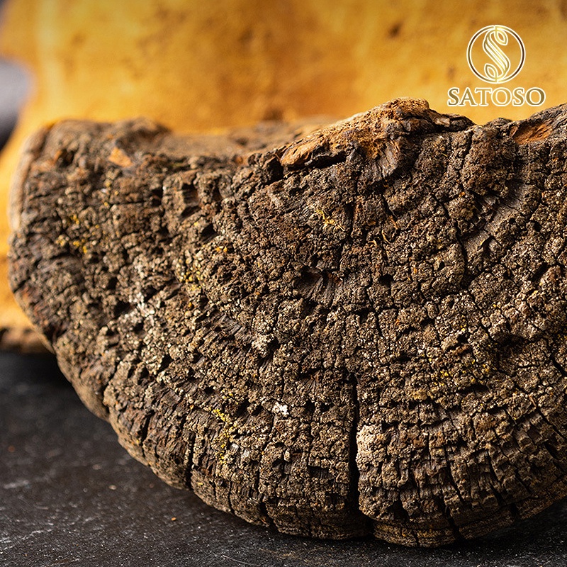 Đại hoàng khô SATOSO 1kg thượng hạng tác dụng thanh tràng, thông tiện, trục ứ thông kinh SA111