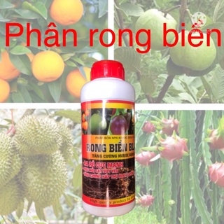 Phân Rong Biển Black chai 1000ml  tái tạo bộ rễ, dưỡng cây chuyên dùng cây ăn quả,hoa hồng, rau màu longf1