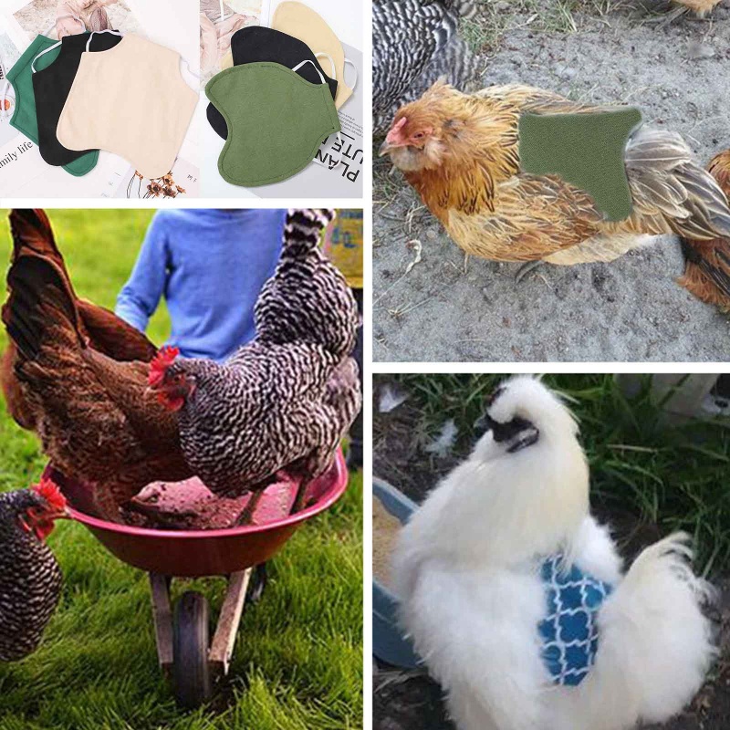Tạp Dề Màu Trơn Bảo Vệ Chăm Sóc Gia Cầm