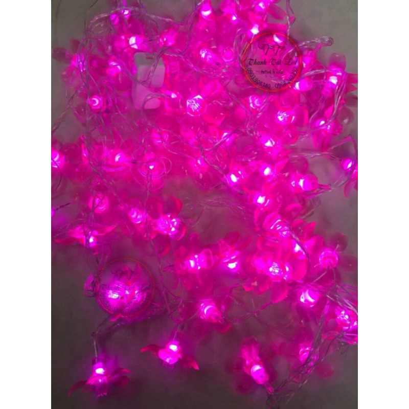 Dây Led Hoa Dẻo Mai - Đào 220v