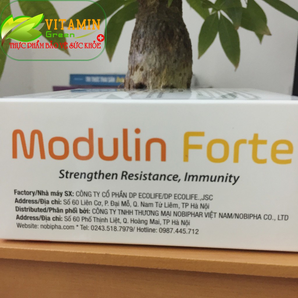 TĂNG SỨC ĐỀ KHÁNG MODULIN FORTE 20 ống x 10ml