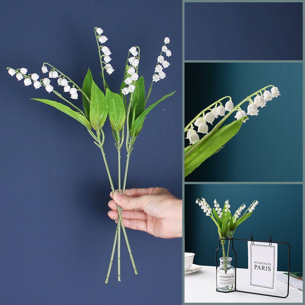 Chậu Hoa Thủy Canh Bằng Sắt Có Khung Ảnh Sang Trọng Trang Trí Phòng Khách
