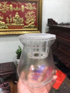 Bình thủy tinh trồng cây thủy sinh