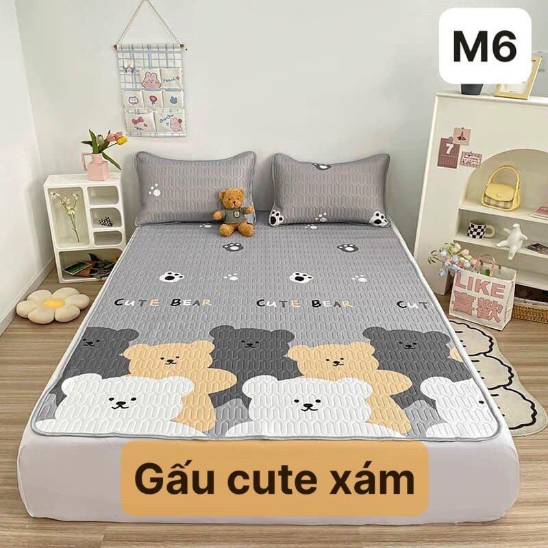 Chiếu điều hòa cao su non 5D Tencel,kích thước m6/m8, mẫu gấu cute xám