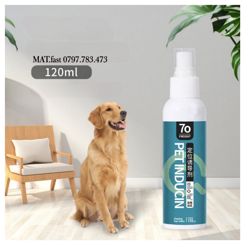 XỊT ĐỊNH VỊ, HƯỚNG DẪN ĐI VỆ SINH CHO CHÓ MÈO - HUẤN LUYỆN CHÓ MÈO VỆ SINH ĐÚNG CHỖ DUNG TÍCH LỚN