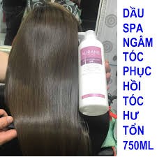 DẦU NGÂM TÓC AURANE SPA PHỤC HỒI LÀM MƯỢT TÓC 750ML CAM KẾT CHÍNH HÃNG Ạ!