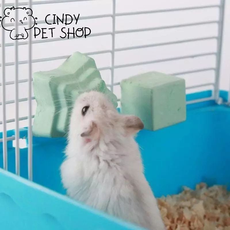 Đá mài răng Hamster