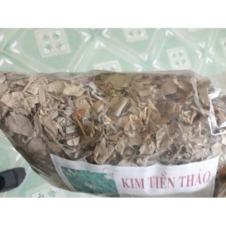 Kim Tiền Thảo