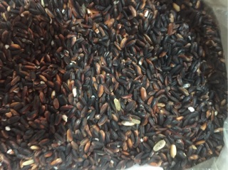 Nếp cẩm loại 1
