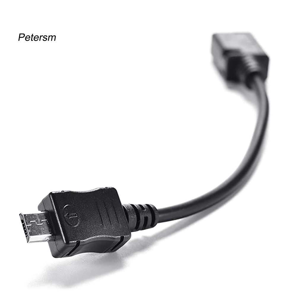 Bộ 2 Đầu Chuyển Đổi Từ Cổng Micro Usb Đực Sang Đầu Cái 5 Pin