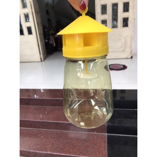 Bẫy Ruồi Vàng và Chất Dẫn Dụ