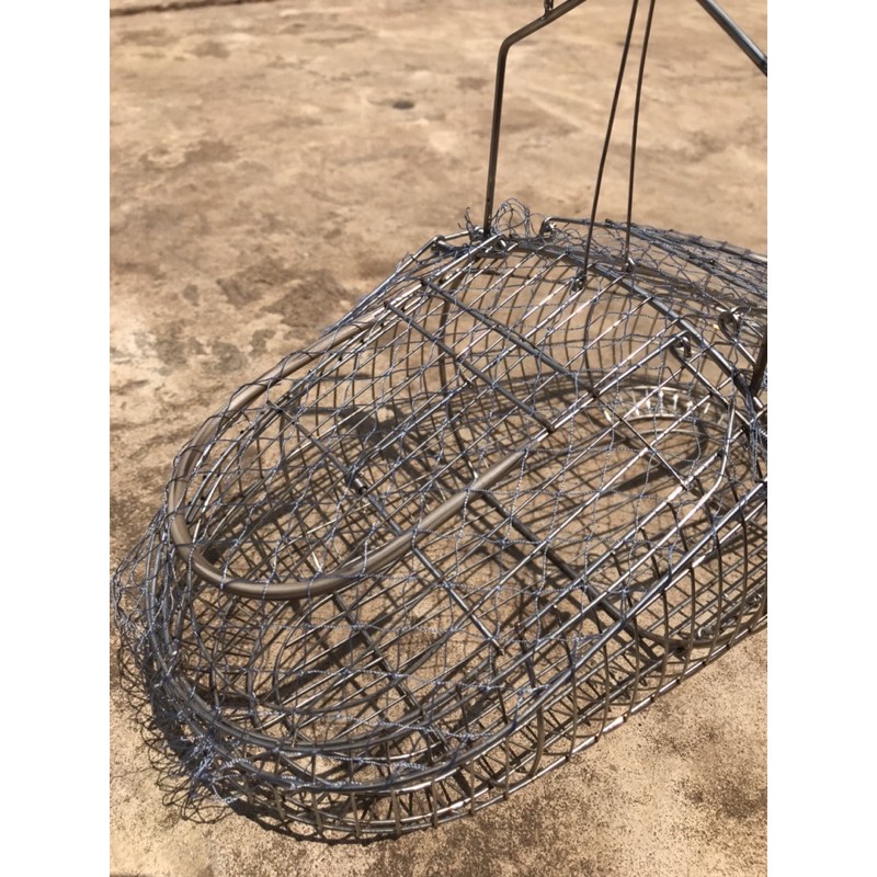 Lụp bẫy inox chim sâu, hút mật, ốc mít