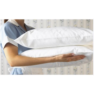 COMBO 2 GỐI ÉP HƠI 40x60cm - COTTON 100%